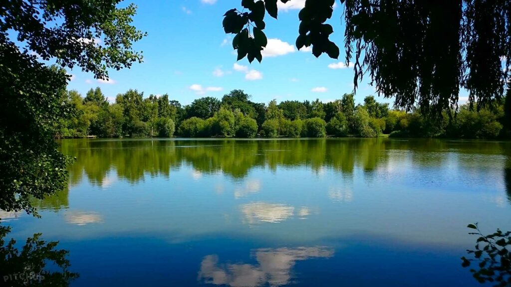 Woodland Waters