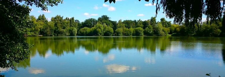 Woodland Waters