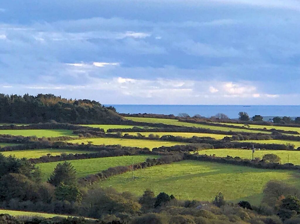 Trevolankan Farm