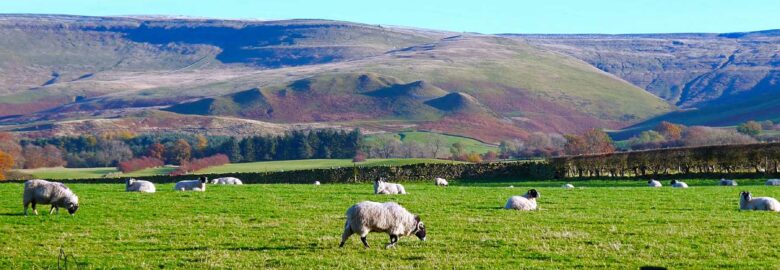 Crossfell Caravan Park