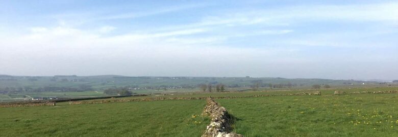 Mere Farm Campsite