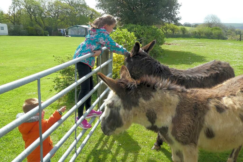 Gwel-an-Nans Farm