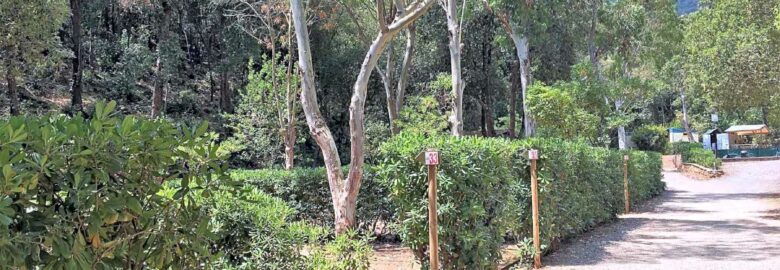 Elbadoc Camping Village