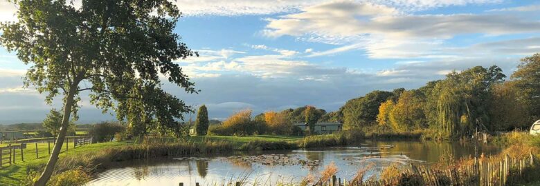 Manor Wood Country Caravan Park