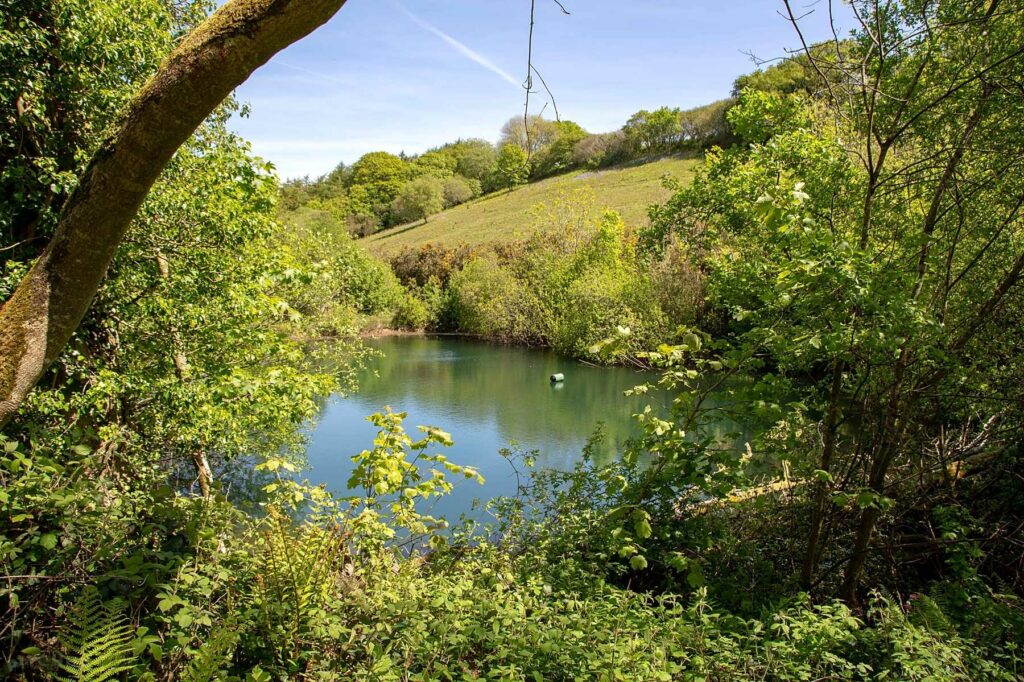 The Oaks Holiday Park