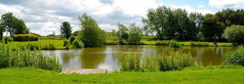Alvingham Lakes