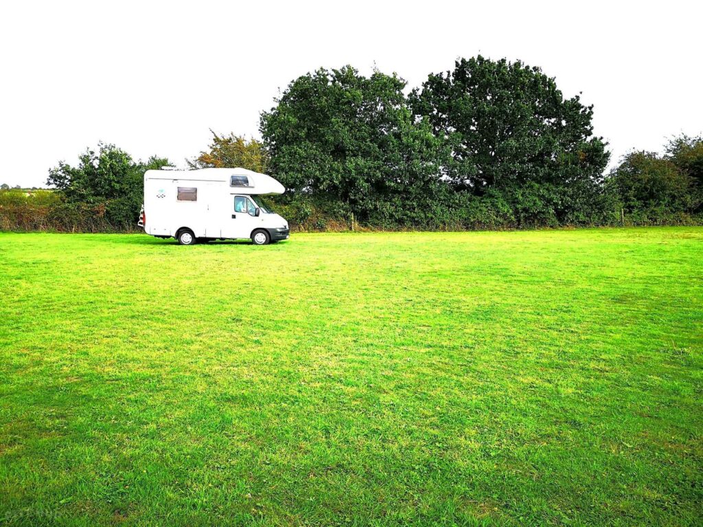 The Daisy Paddock