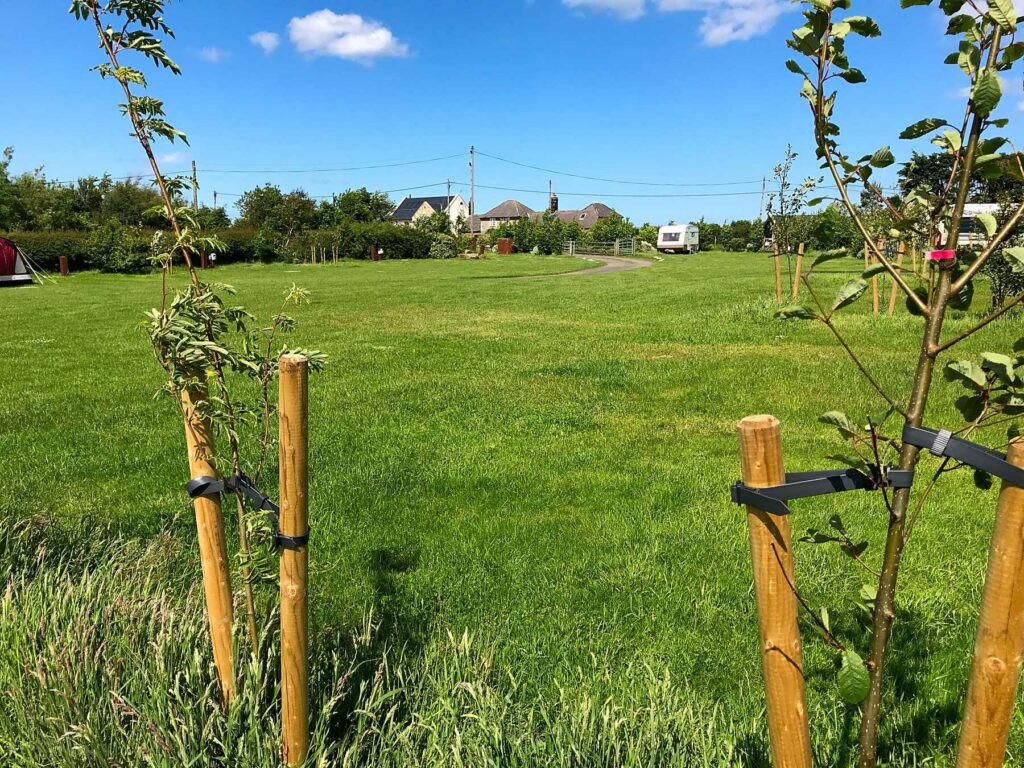 Westfield Paddock Caravan Site