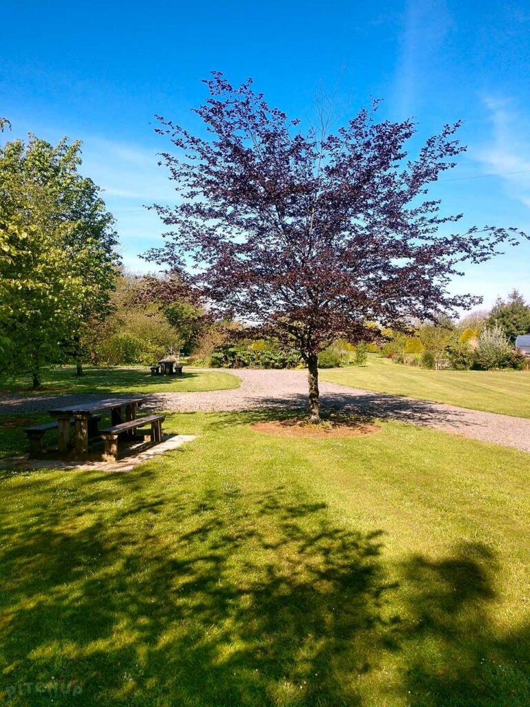 Glamping Lane End