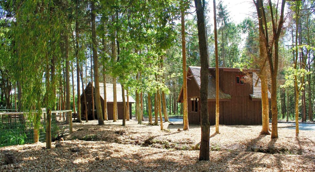 Nantclimbers Woodland Camping Huts