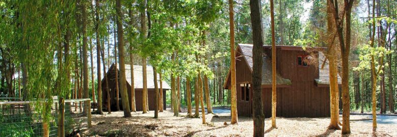 Nantclimbers Woodland Camping Huts