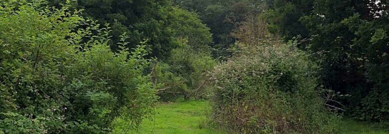 Orchard Wild Camping, Saxmundham