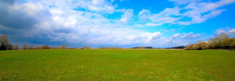 Easton Farm Park