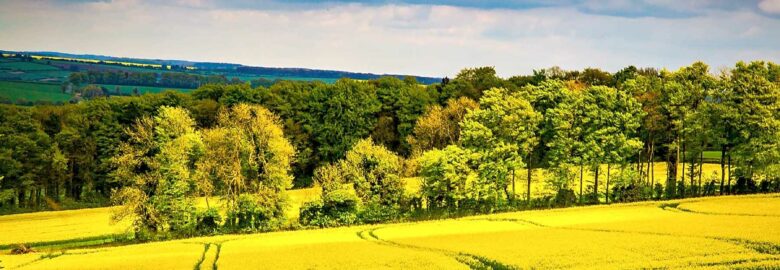 Charisworth Farm