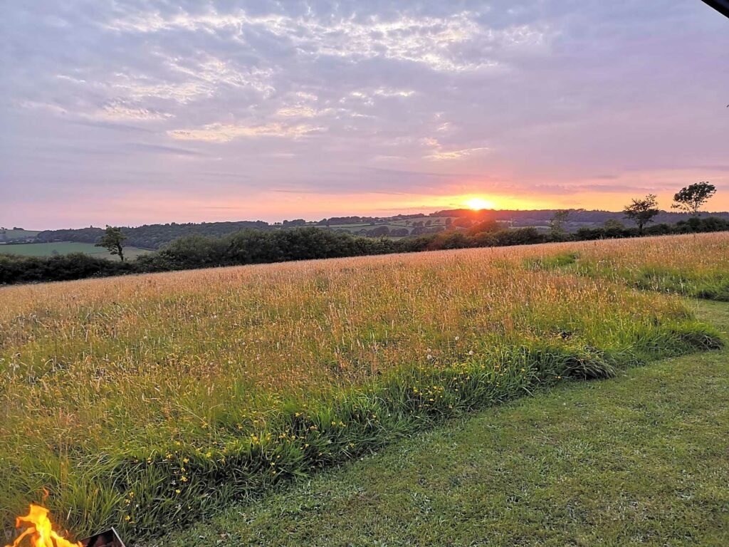 South Town Farm