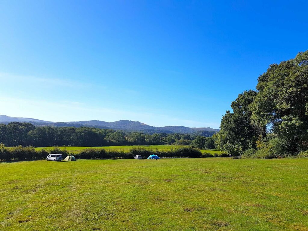 Clarefield Copse Wild Camping