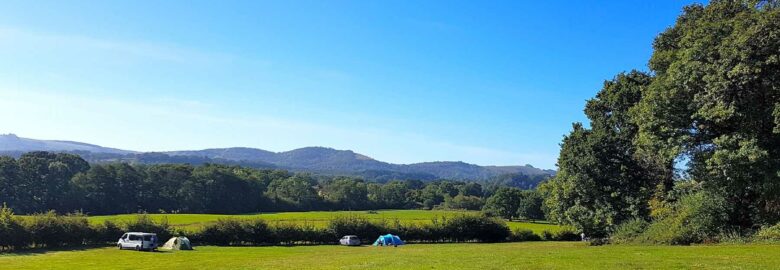 Clarefield Copse Wild Camping