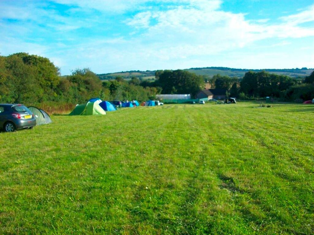 Maple Field Camping