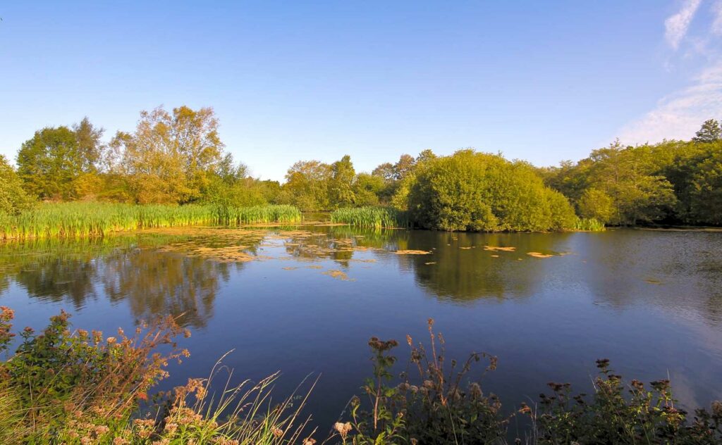 Wantisden Park