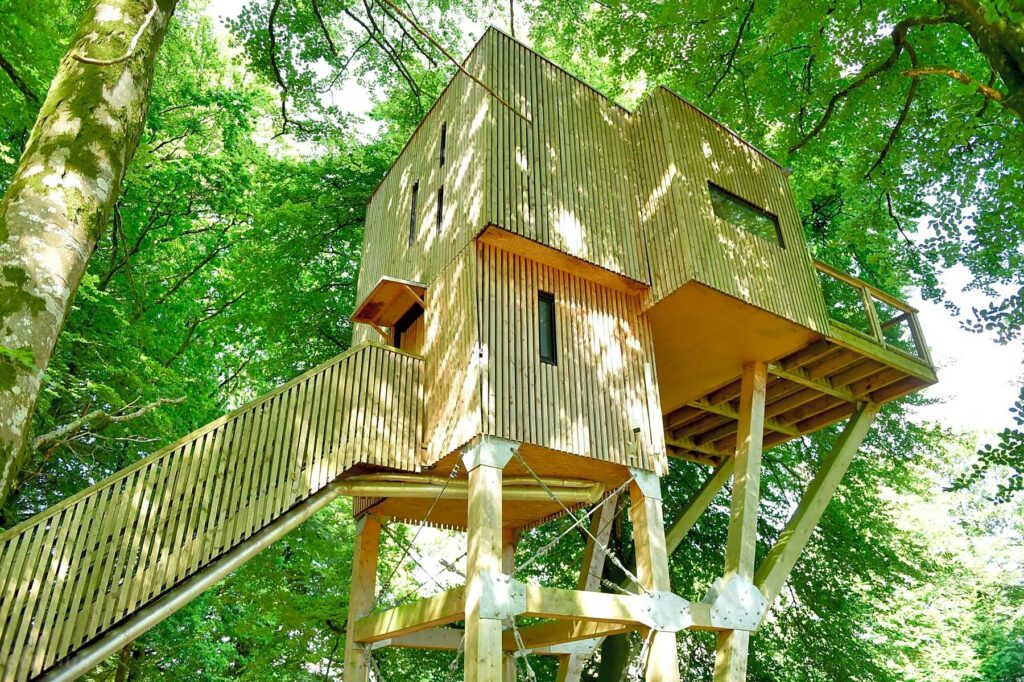 L’Etape en Forêt