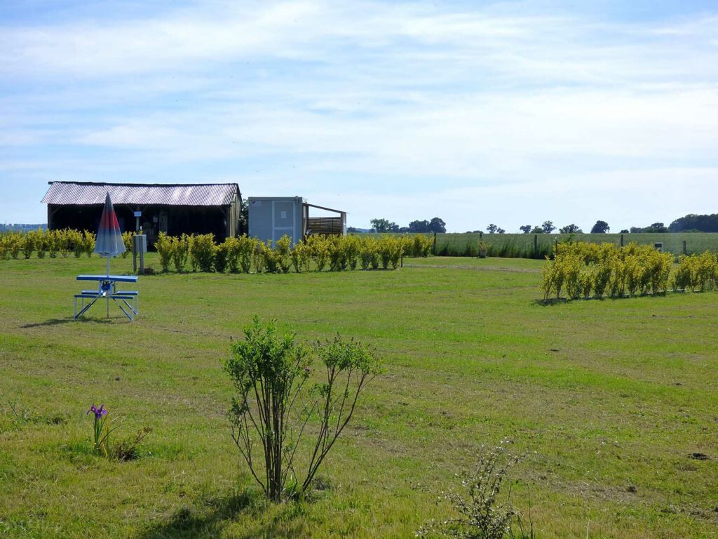 Camping La Patte d’Oie
