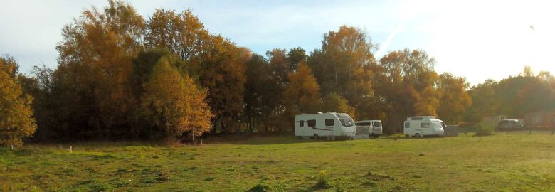 Lupine Woods Camping