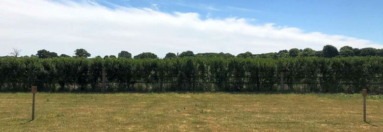 Torworth Grange Farm