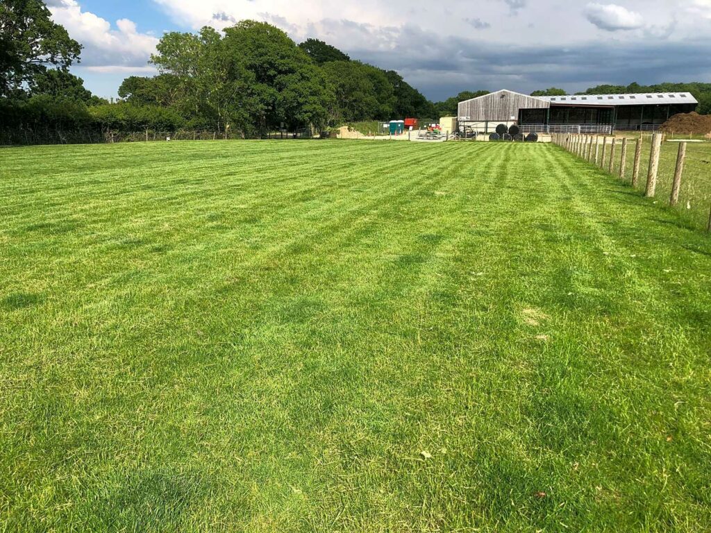 Kings Oak Farm