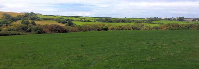 Tregella Place Camping