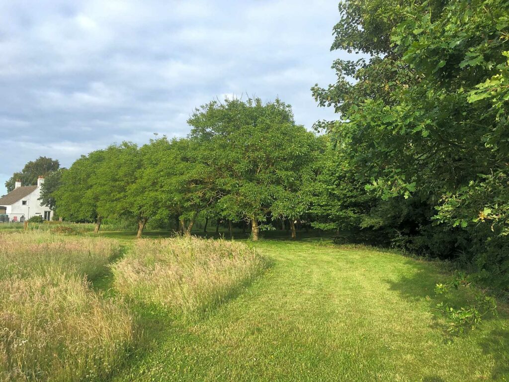 Home Farm