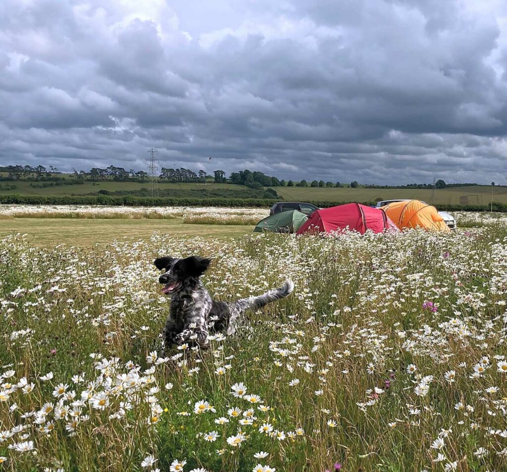 Rowbury Farm Camping