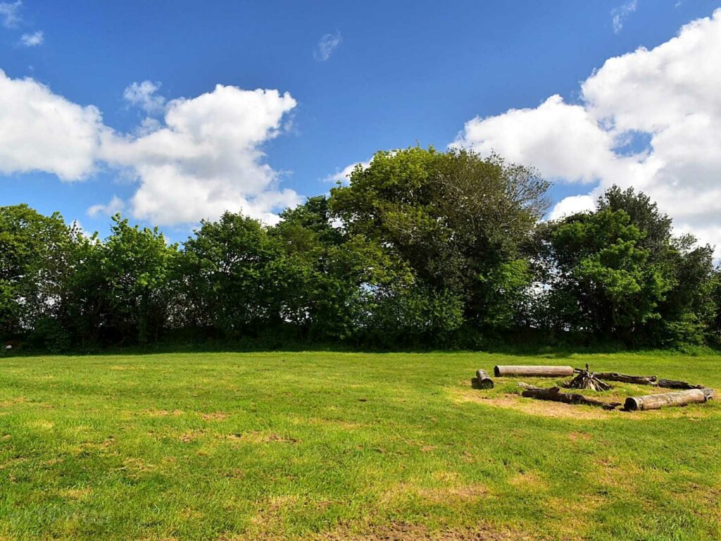 Acorn Camping and Glamping