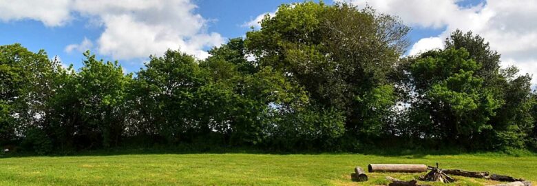 Acorn Camping and Glamping