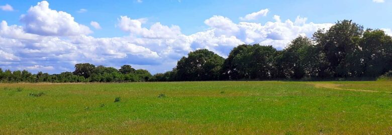Magpie Meadow