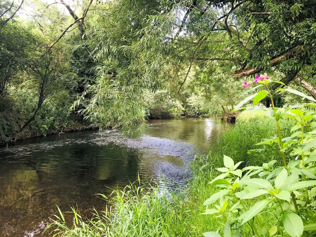 Avon Wild Camping