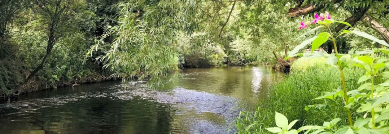 Avon Wild Camping