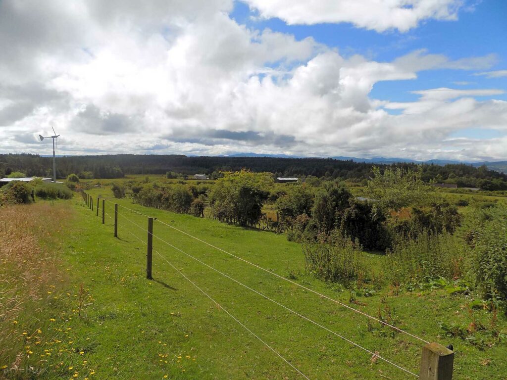 Black Isle Stud