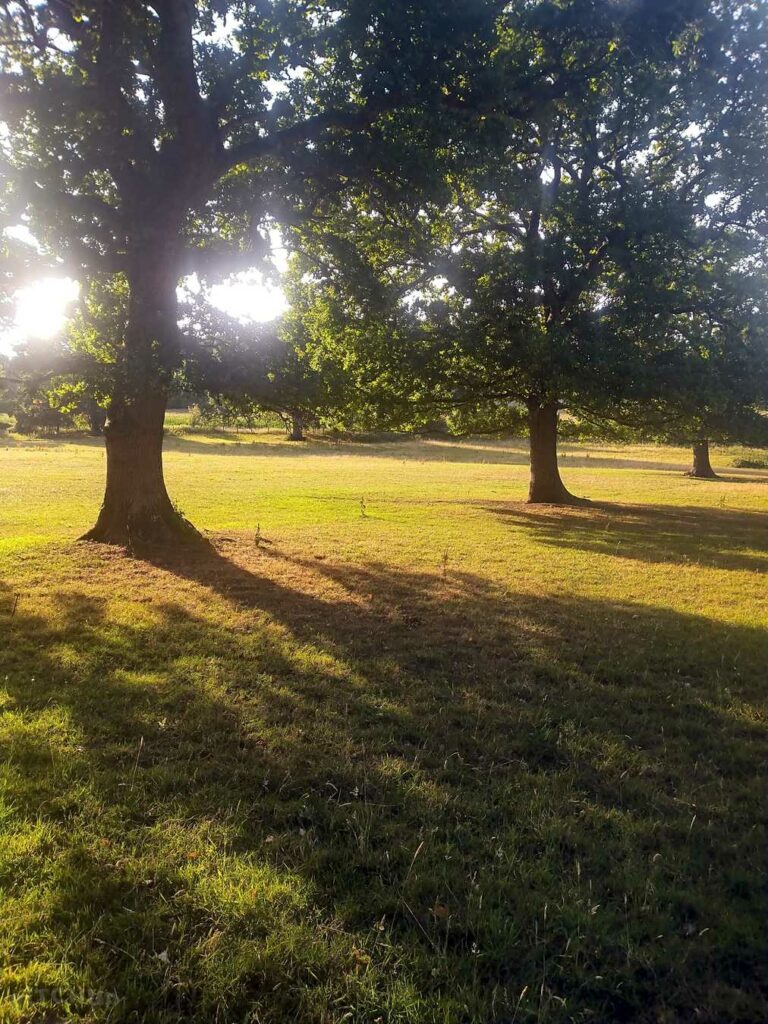 Little Thakeham Farm