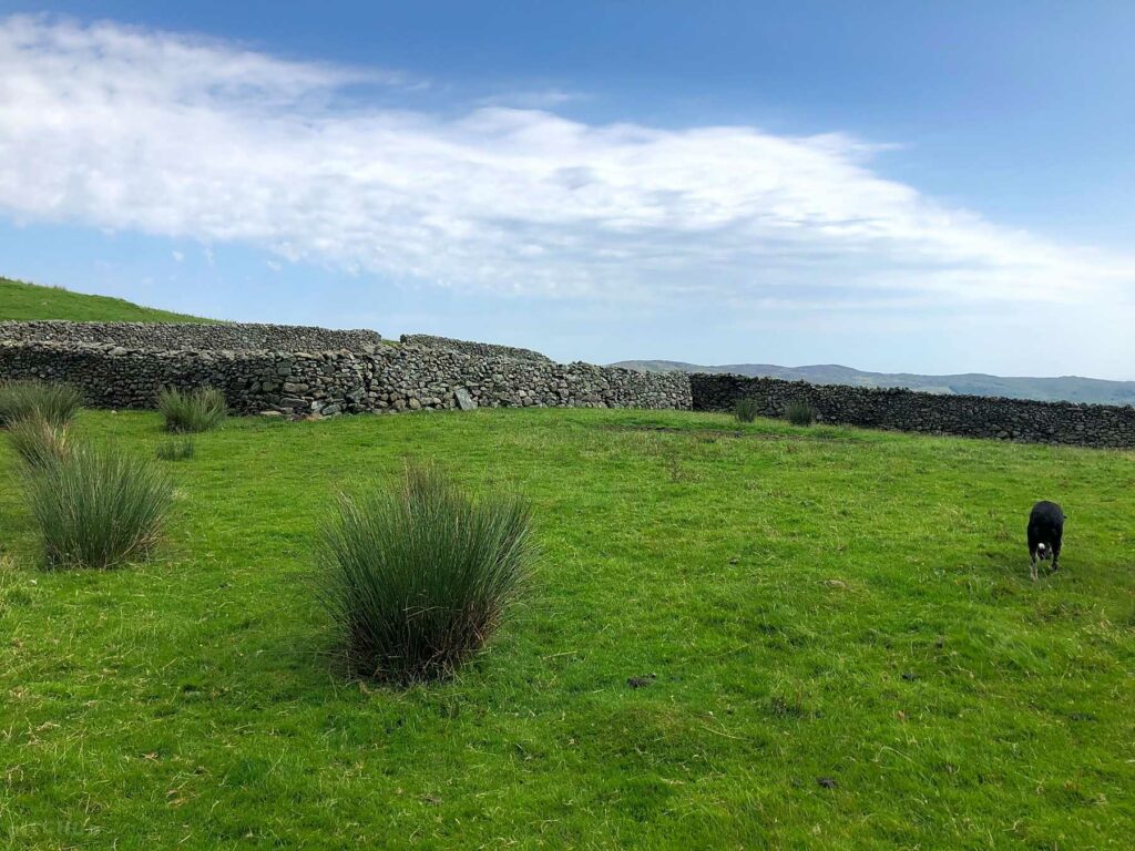 Torver Campsite