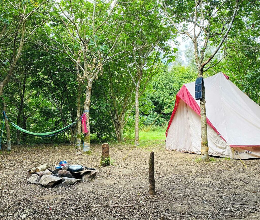 Fire and Stars Woodland Camping