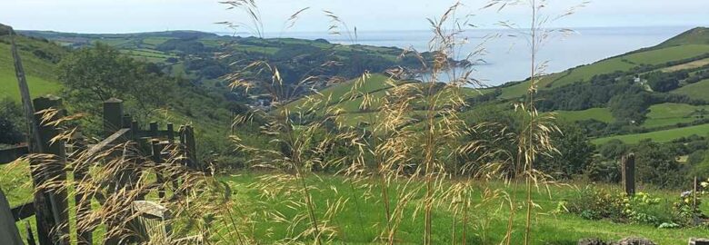 Girt Down Farm