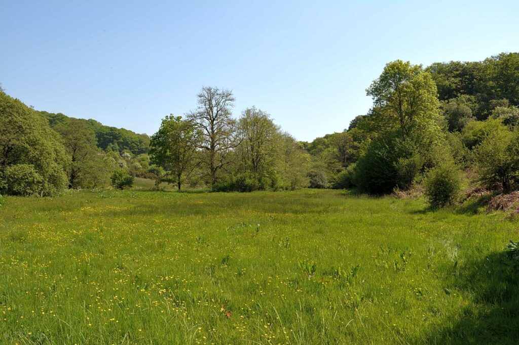 Aldridge Mill – Wild Camping