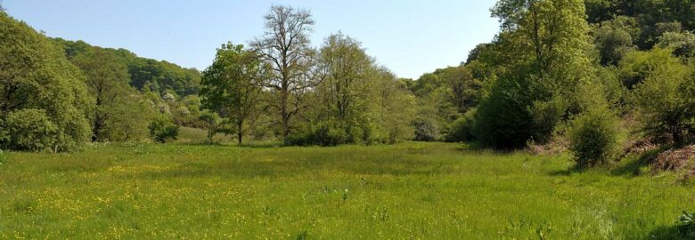 Aldridge Mill – Wild Camping