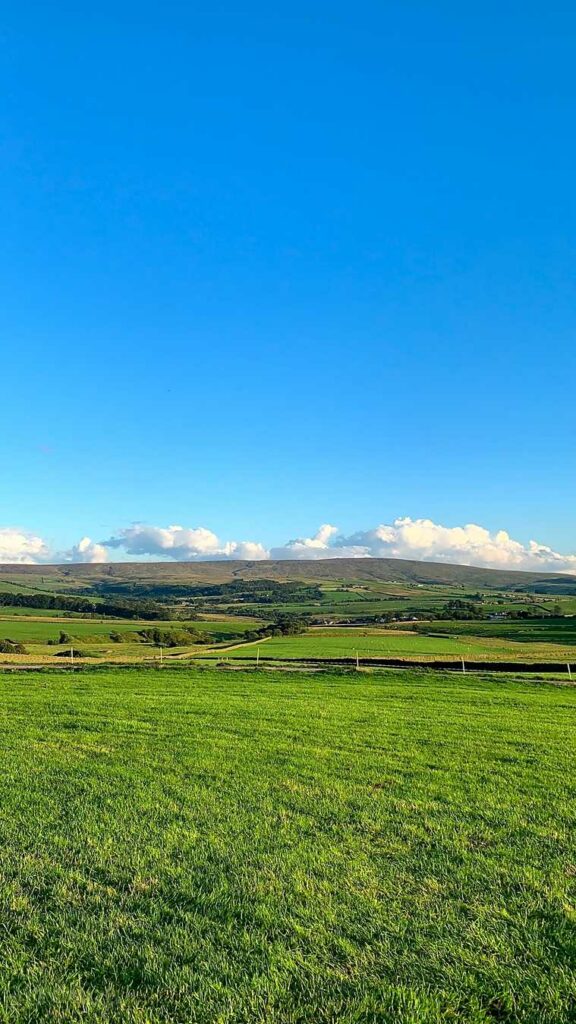 Shay Gate Farm