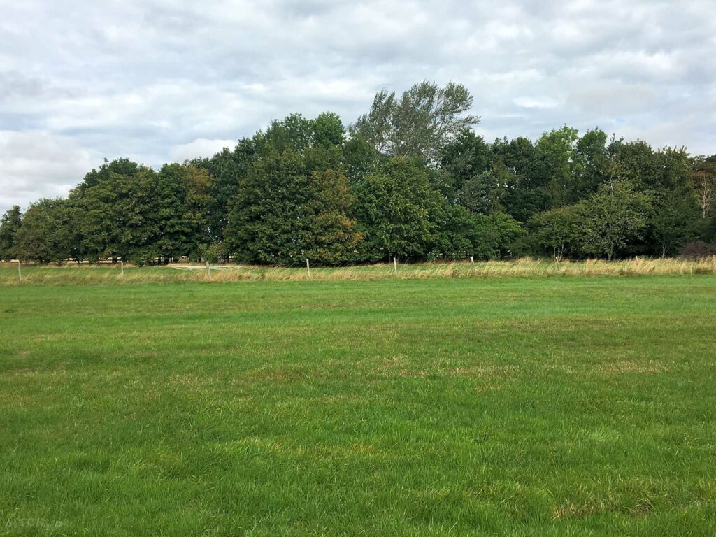 Applecross Fields