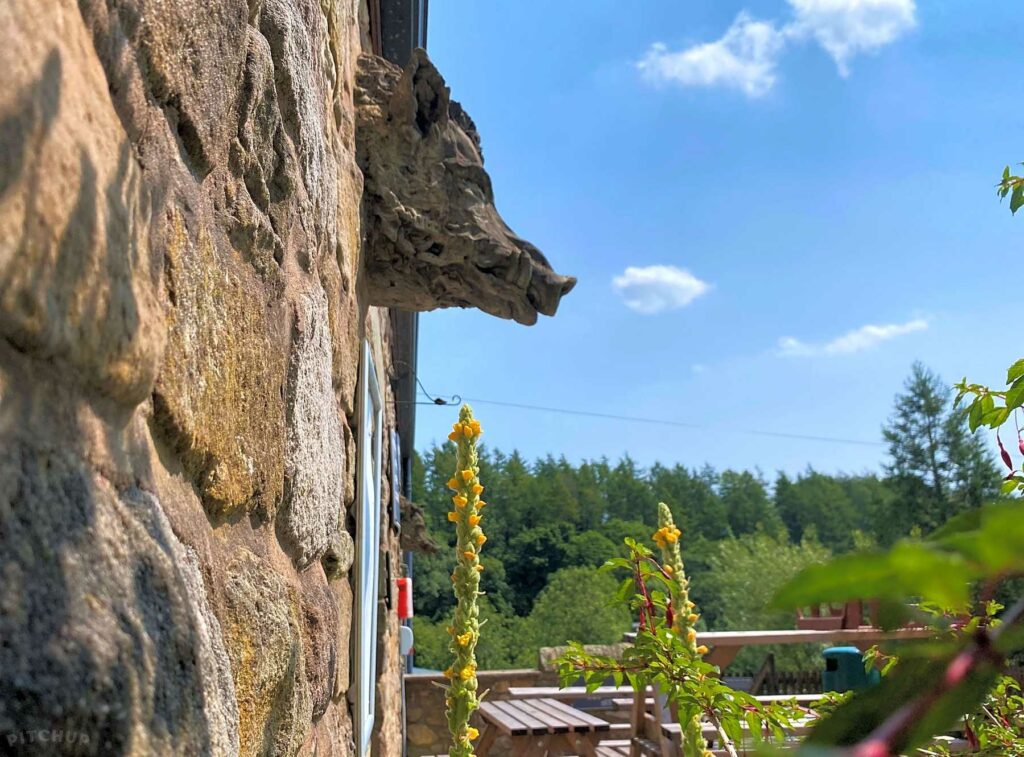 Bowland Wild Boar Park