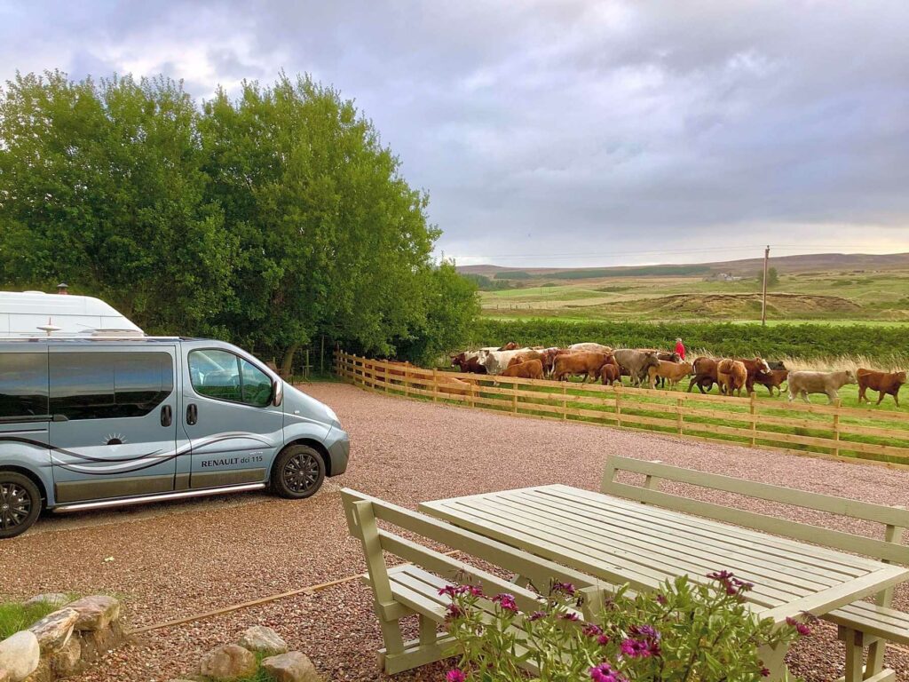 Kirkton Holidays
