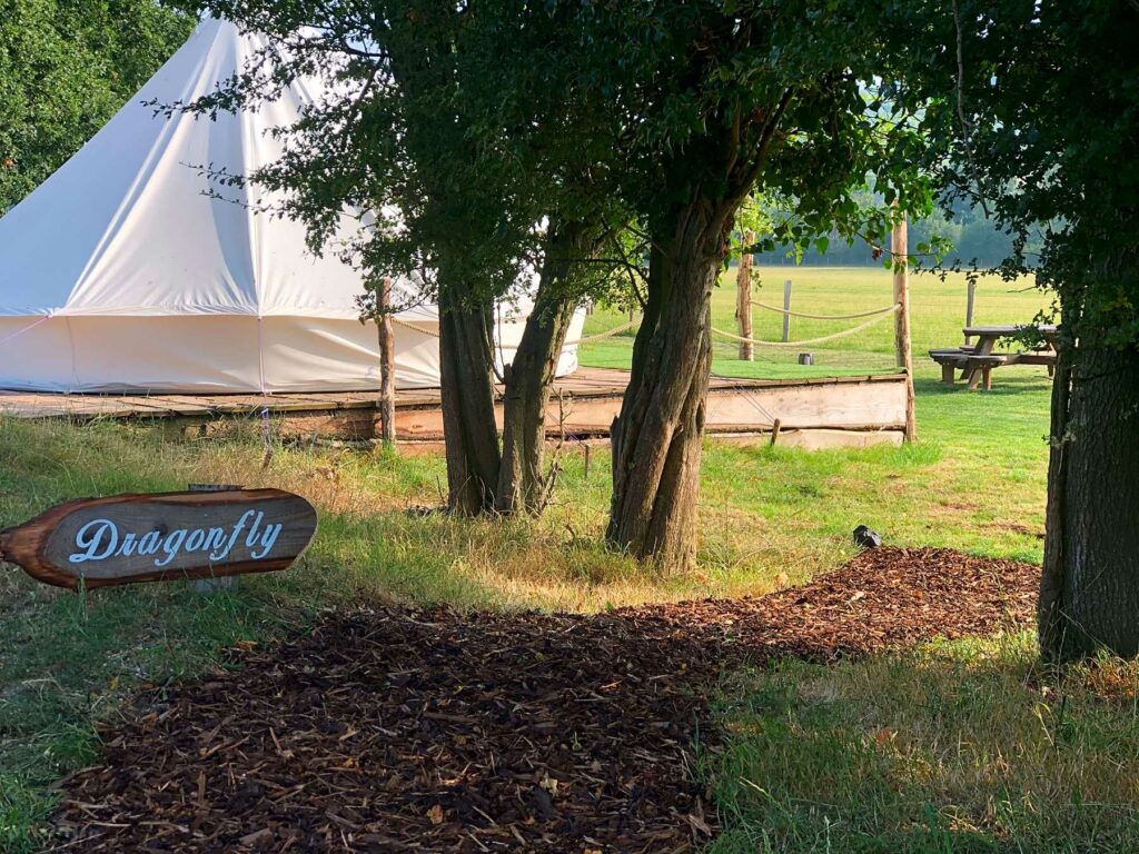 Pond and Beyond Glamping