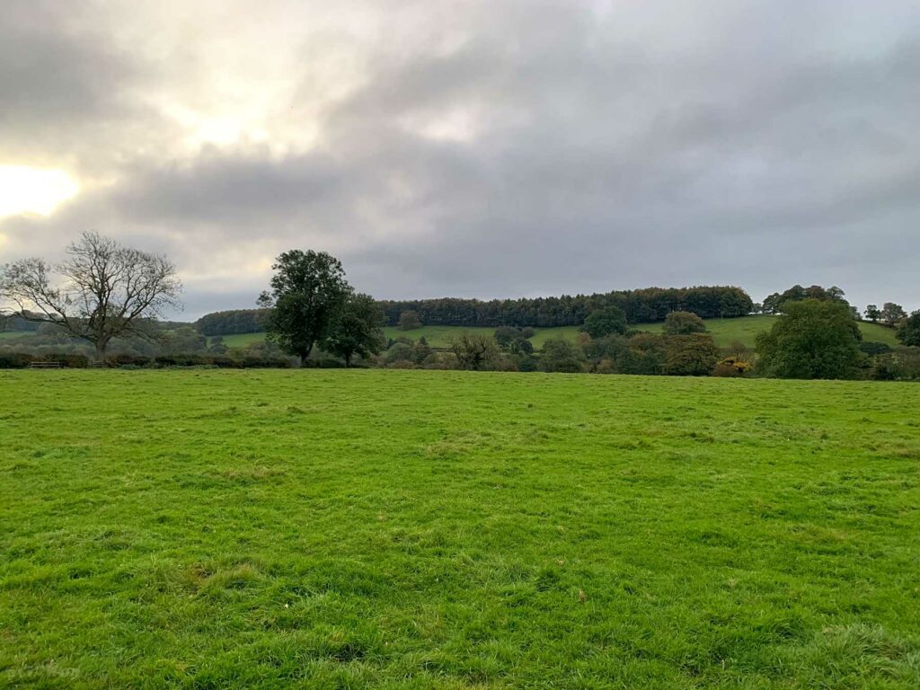 Brook Farm