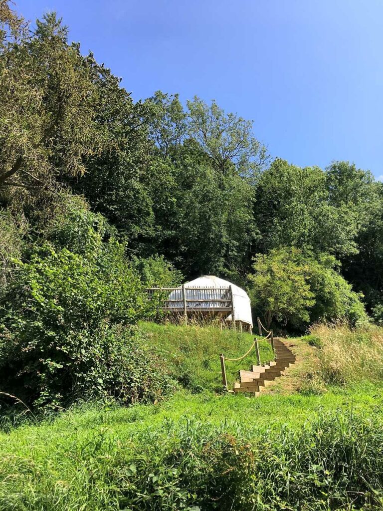 The Teasel Yurts